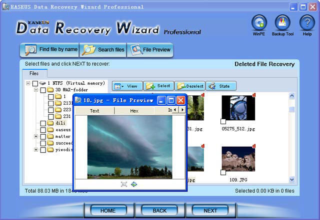 EASEUS Data Recovery Wizard Professional