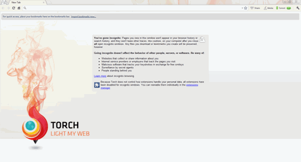    Torch Browser