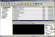 Free Download Manager 2.1 Build 494